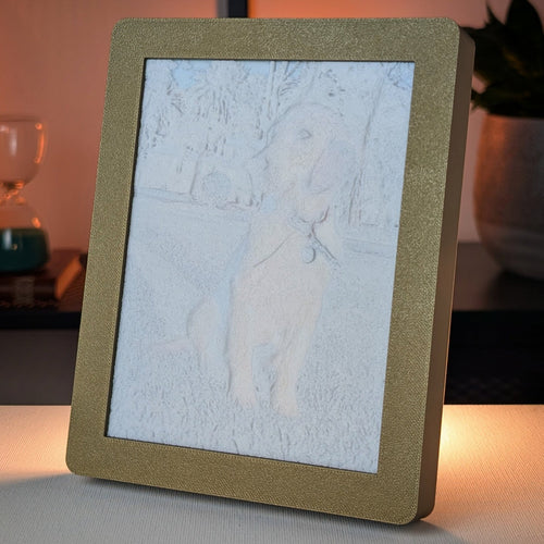 foto 3D de uma cadela (desligada) com moldura dourada