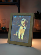 foto 3D de uma cadela (ligada) com moldura dourada