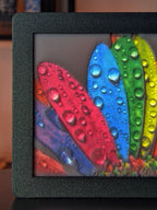 foto 3D de plantas a cores (ligada)